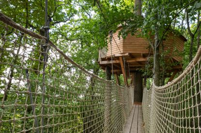 Cabane Monkey Tree