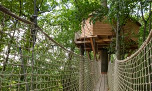 Cabane Monkey Tree