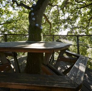 Tree House Ch&ecirc;ne Fou