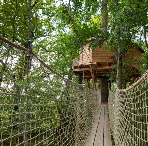 Tree House Monkey Tree