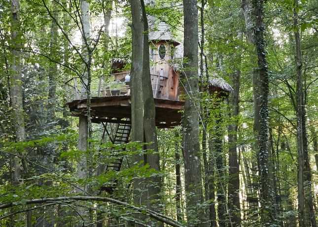 Cabane dans les arbres 