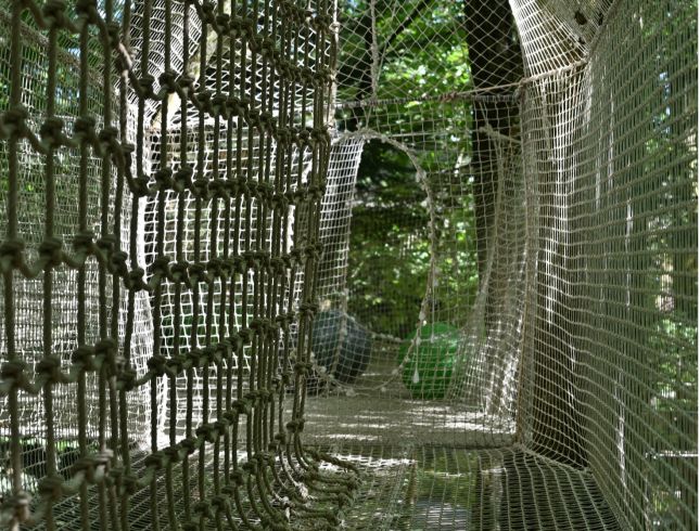 Parcours perch&eacute; dans les arbres, du domaine de la Grande No&euml; dans l'Orne (61)