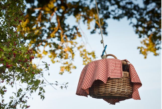 Hissez votre panier repas dans votre cabane perch&eacute;e dans les arbres !