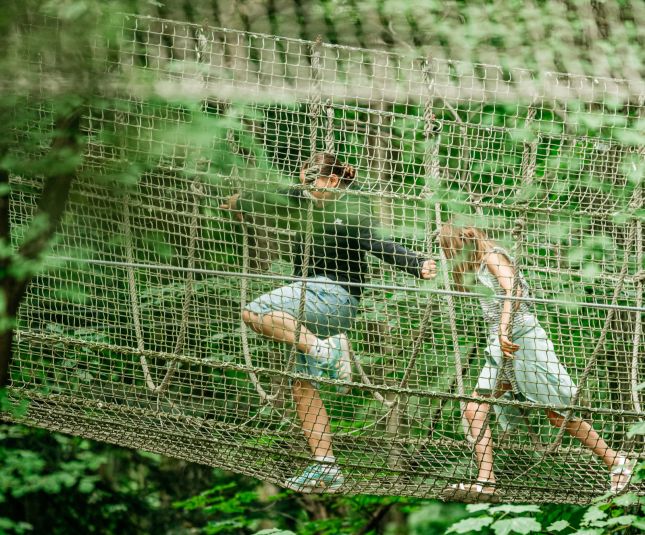 Notre parcours perch&eacute; dans les arbres est id&eacute;al pour les familles